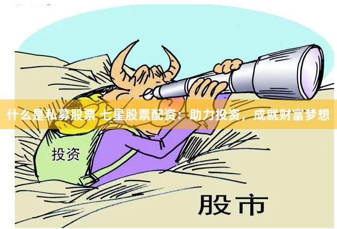 什么是私募股票 七星股票配资：助力投资，成就财富梦想