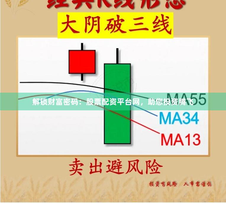 解锁财富密码：股票配资平台网，助您投资腾飞